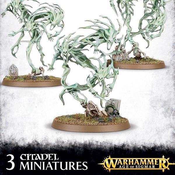 Spirit Hosts