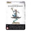 TzaangorShamen TZEENTCH ARCANITES TZAANGOR SHAMAN