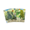 lkgfs01es_3 Forest Shuffle